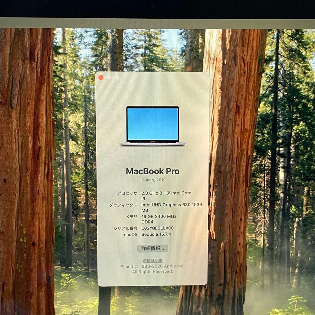 [高性能i9] MacBookPro 2019 PC グレイ Retina 箱付