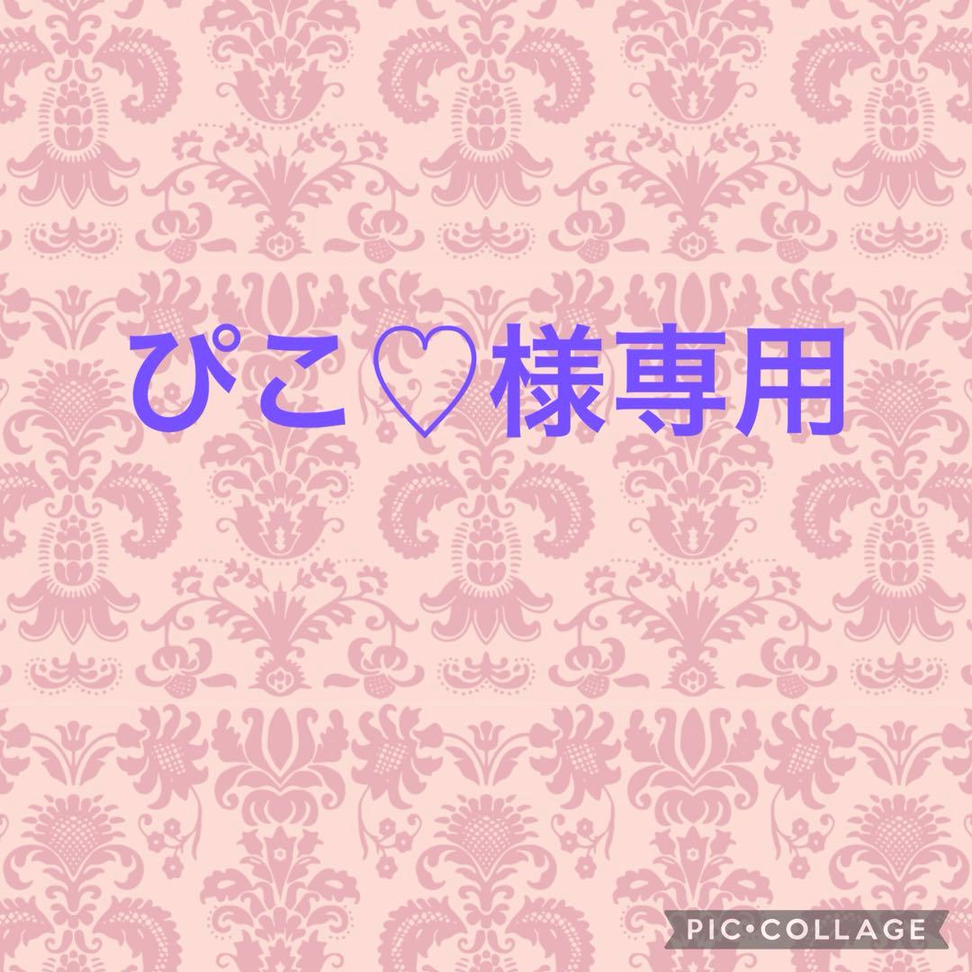 ぴこ♡ページ