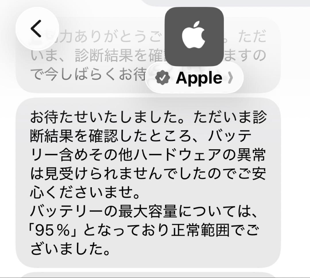 Apple iPad 第10世代 256GB 10.9インチ イエロー 美品