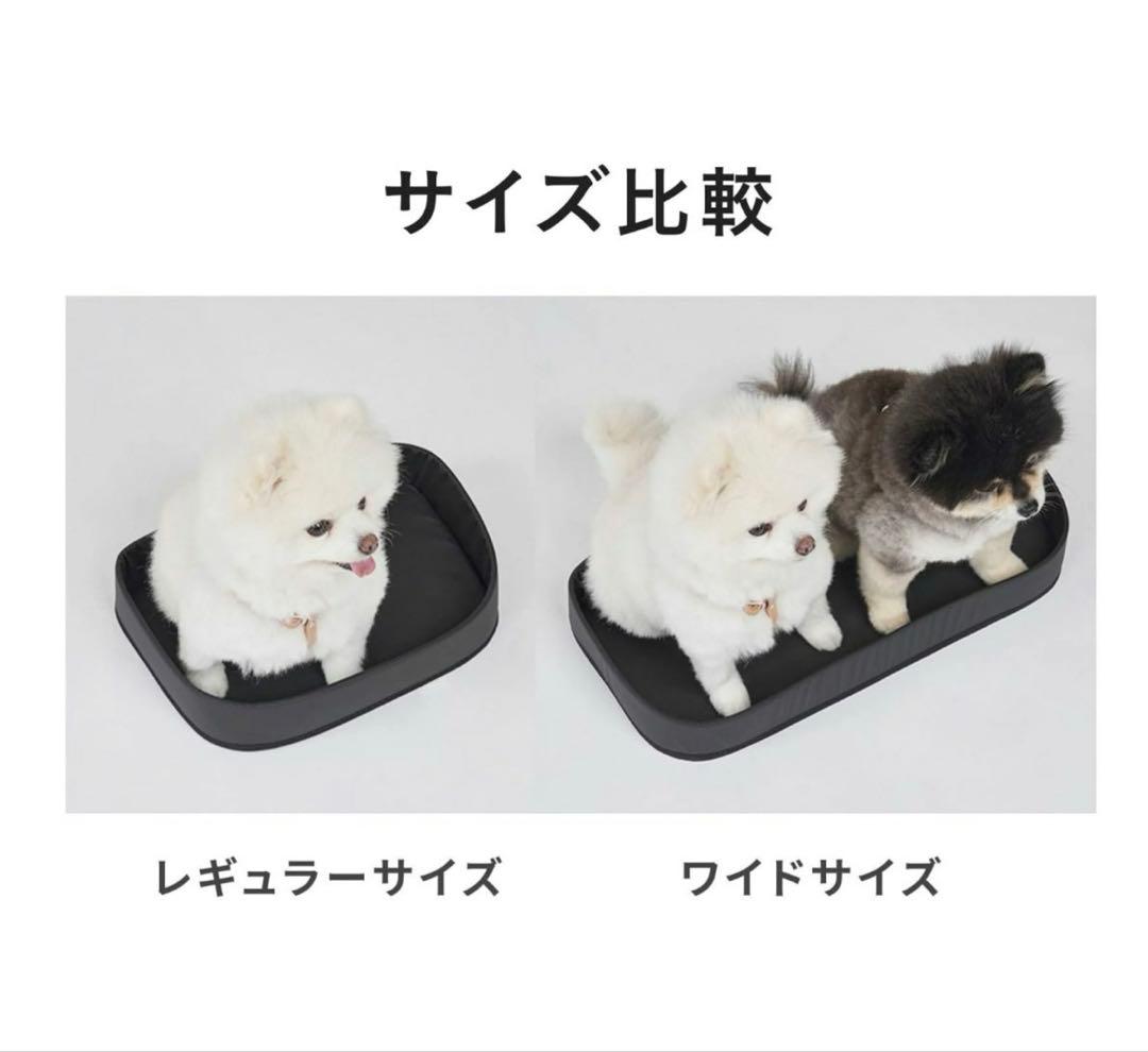 【正規品】エアバギー リュック 3Wayパックパックキャリー ワイドサイズ　美品