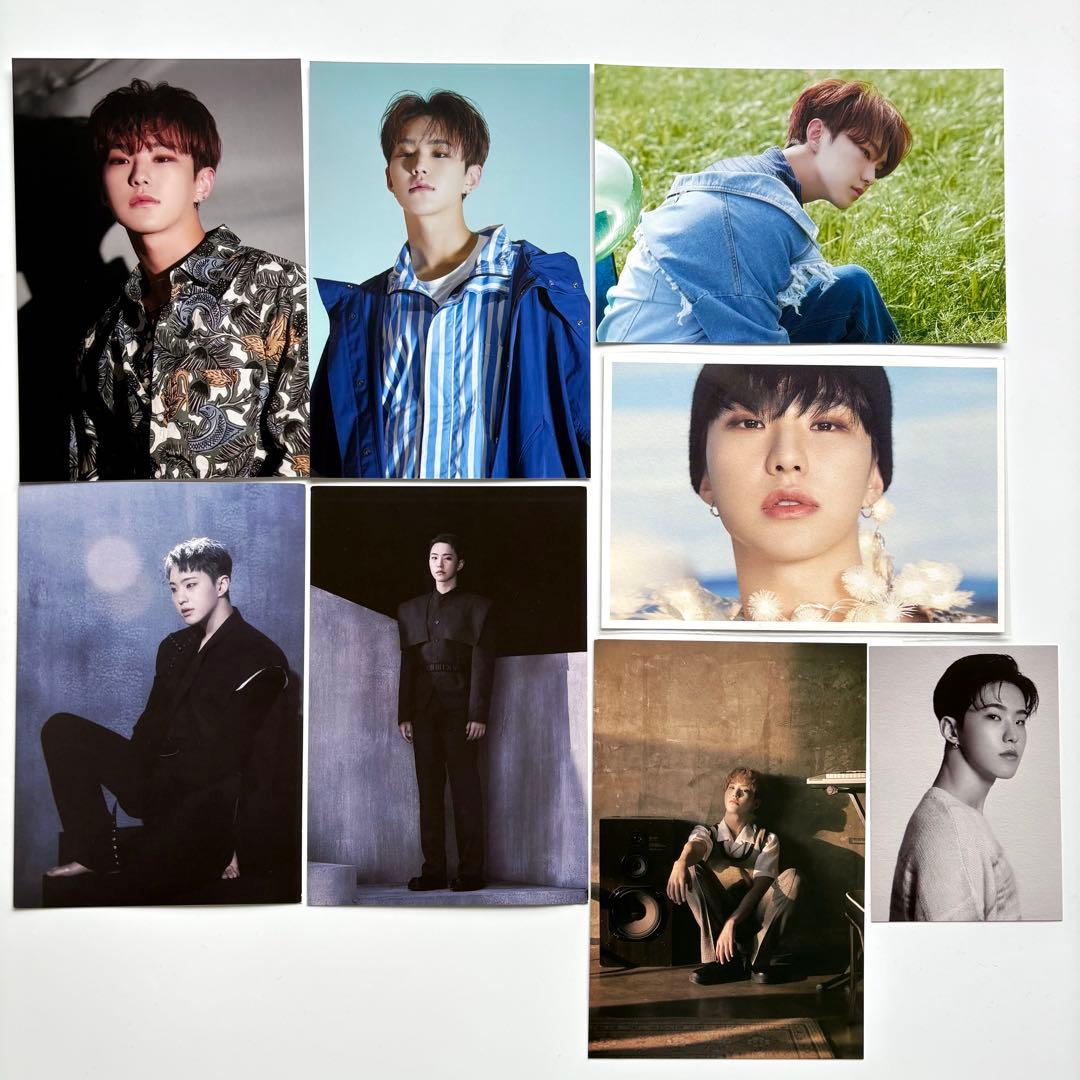 seventeen バパケ　ruby ウジ　キッチンカー　缶バッジ　ピケット