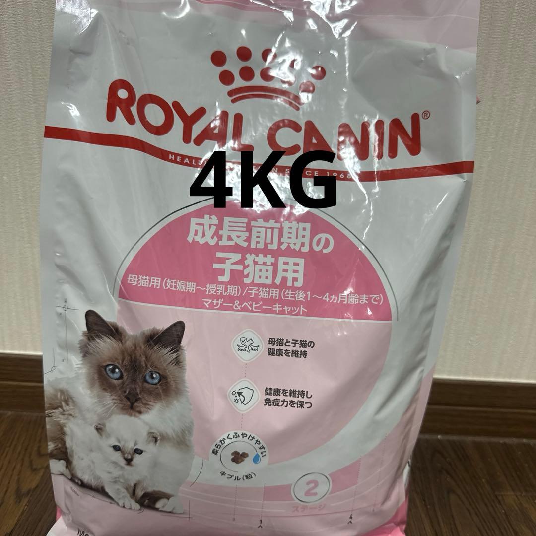  CANIN マザー＆ベビーキャット 成長前期 キトン 4KG