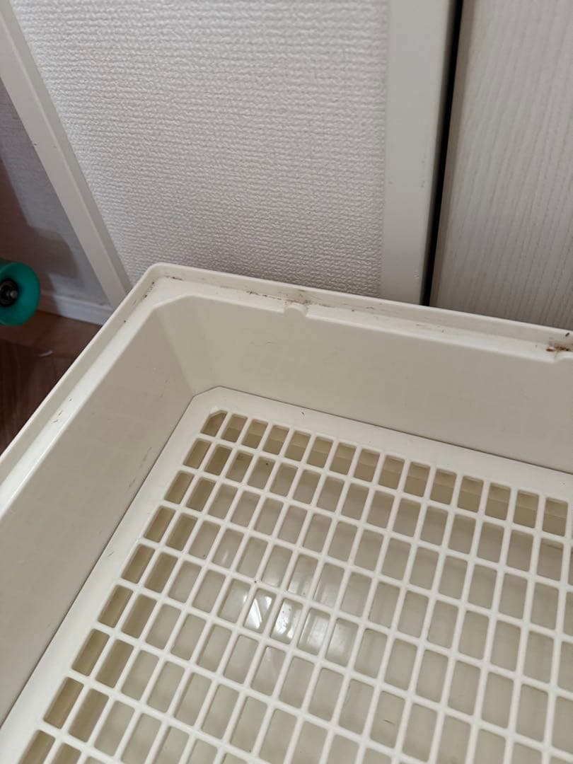 コージーアボード 80 ペットのコジマ購入