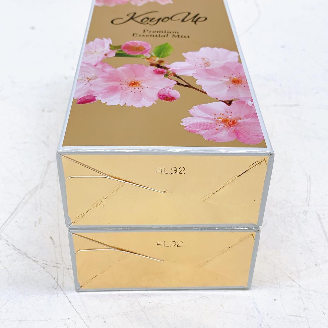 2ABM012 未使用品 KoyoUp エッセンシャルミスト 120ml 2箱