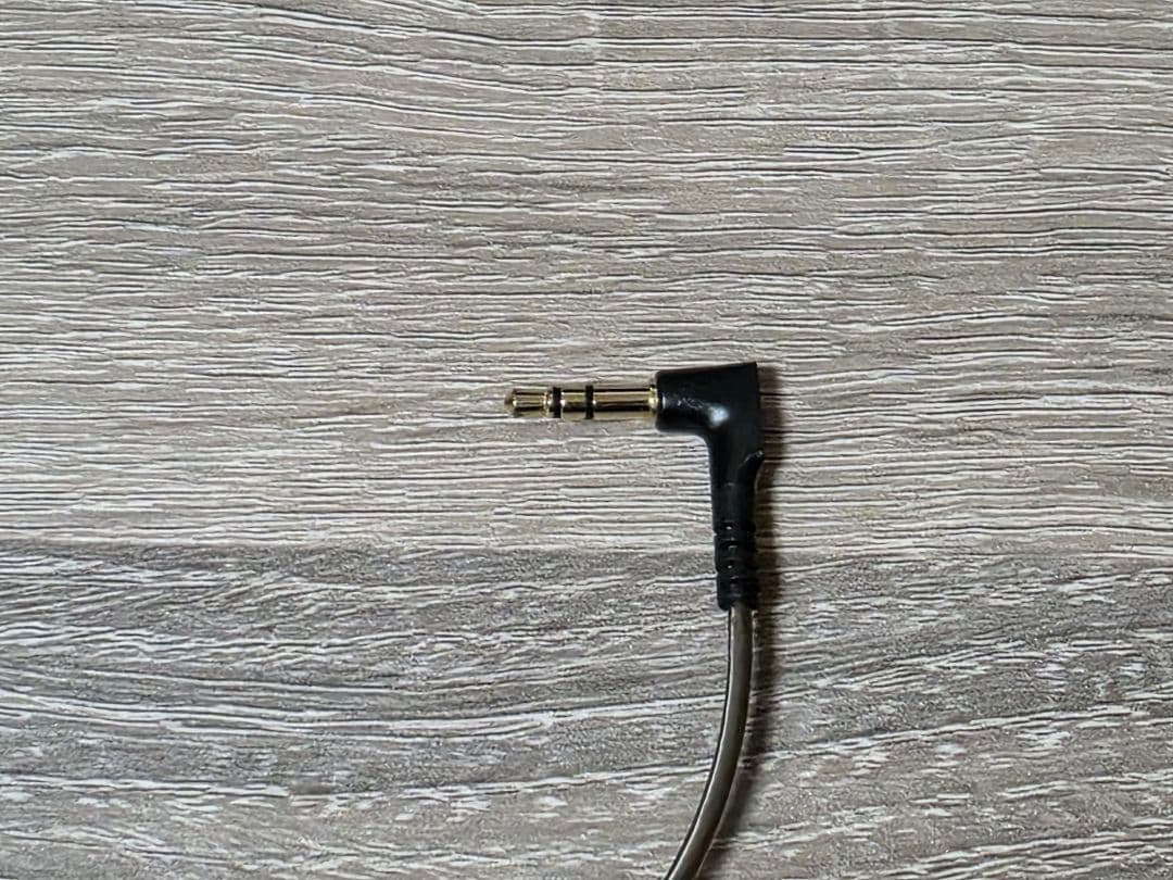 Sennheiser IE 300 有線イヤホン　清掃済み