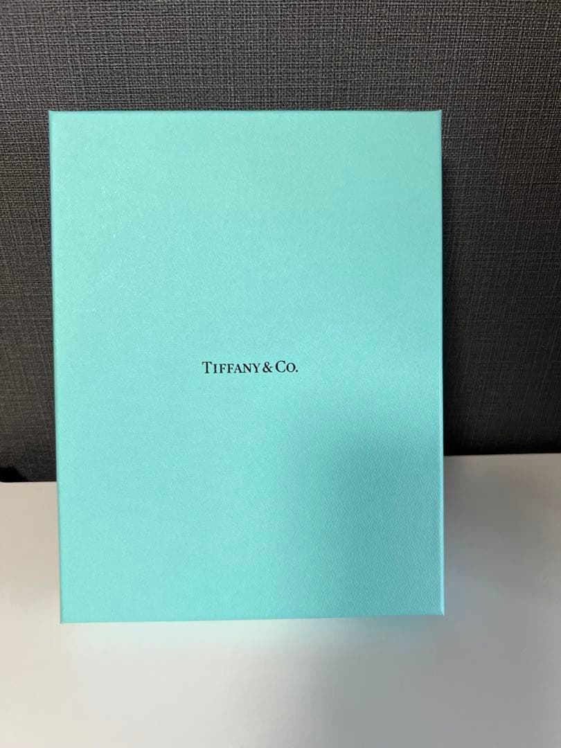 新品・未使用★Tiffany & Co. パスポートケース