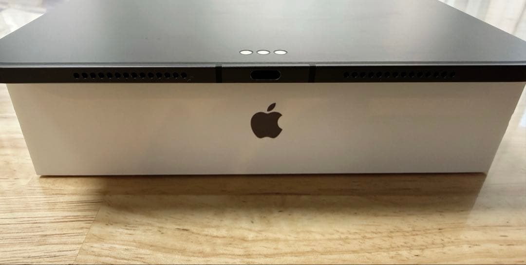 iPad Pro11インチM4 256GB wifi-cellular