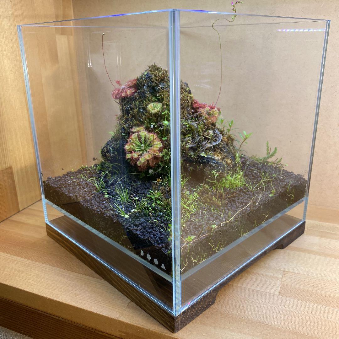 カンカン　ネオグラスエア用水槽ベース200mm角　エボニー　2枚組