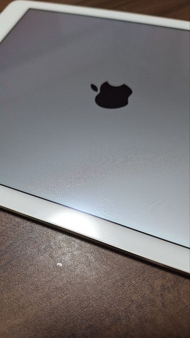 iPad Air2(A1567) 本体32GB 箱・ケース付き Softbank