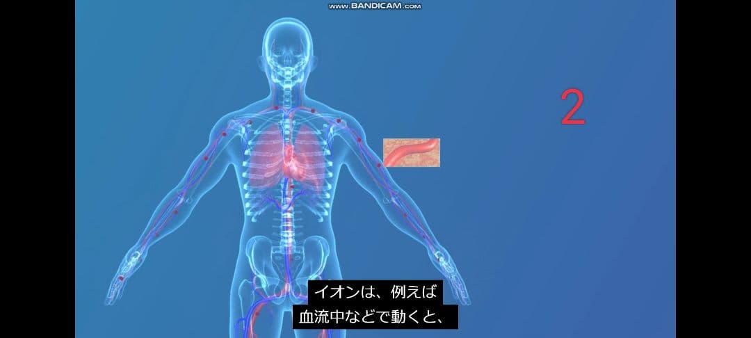 マグヒーリー　クラシック　エディション【保証期間内】