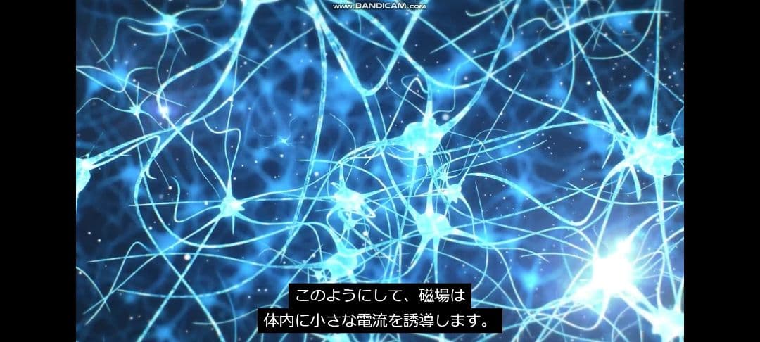 マグヒーリー　クラシック　エディション【保証期間内】