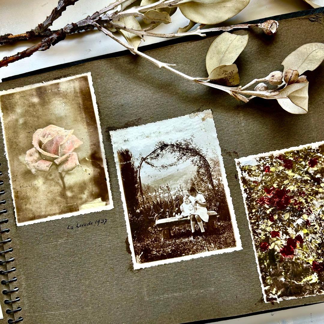手彩色に息づく姉弟の記憶 1930年代フランス　写真アルバム