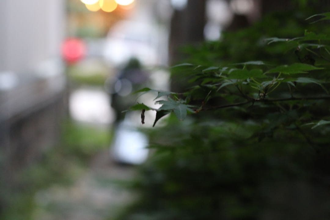 【箱付き】Canon EOS 70D レンズ2本＋バッグ付 すぐ使える豪華セット