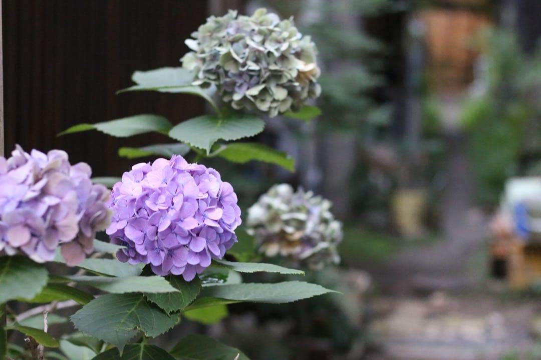 【箱付き】Canon EOS 70D レンズ2本＋バッグ付 すぐ使える豪華セット