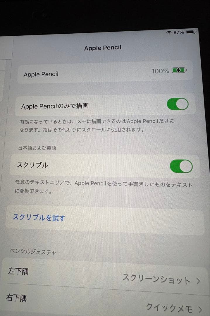 【動作確認済】Apple Pencil 第1世代 A1603