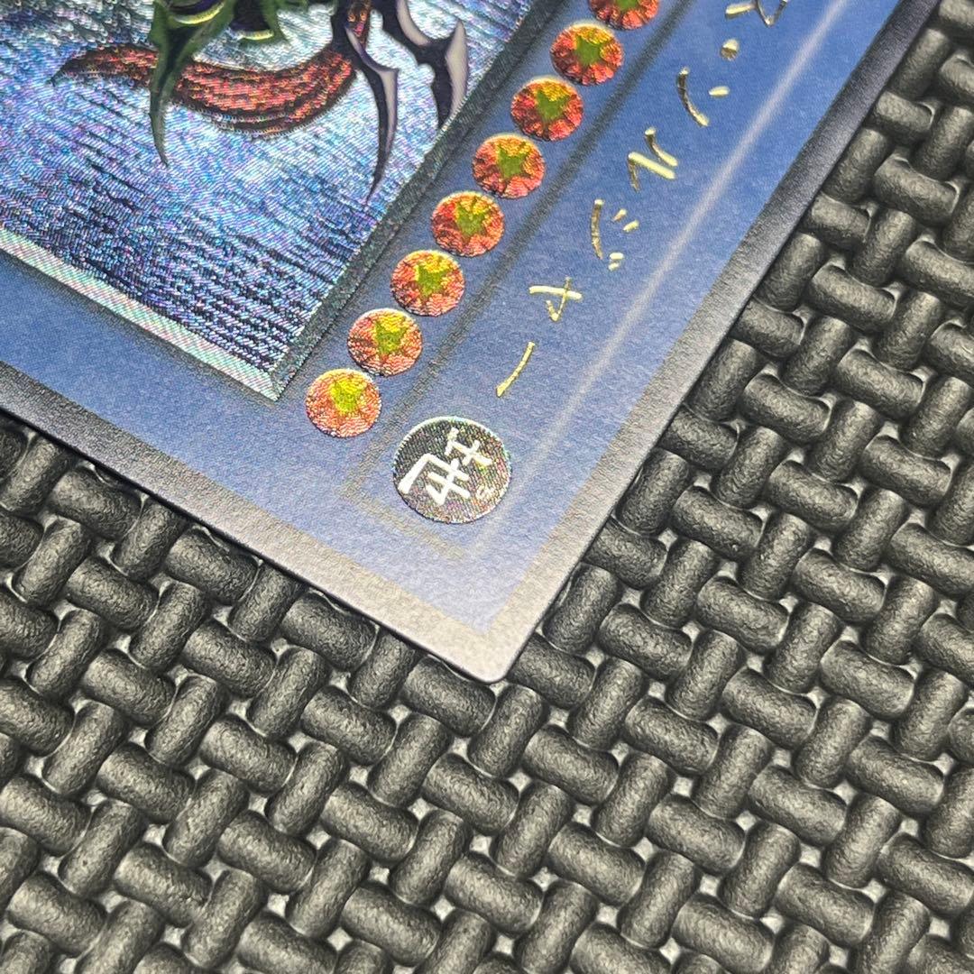 遊戯王 カオス・ソルジャー レリーフ　304-054