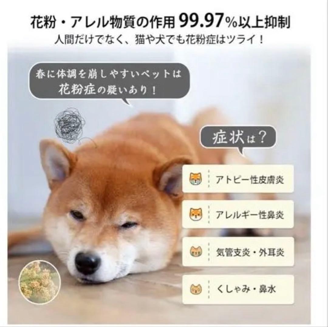 【美品】Levoit pet 空気清浄機 グレー