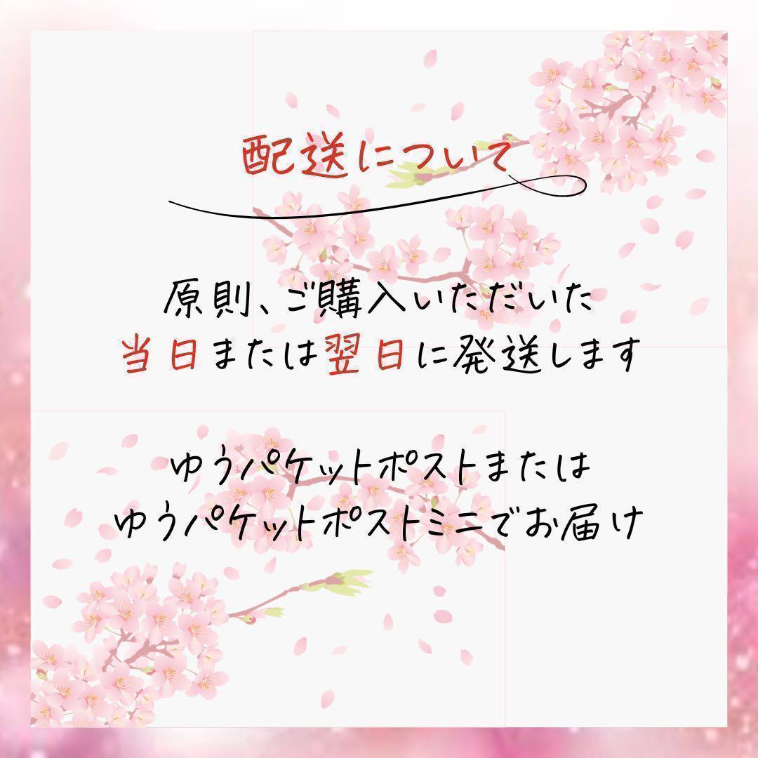 リノクル リンクルケアファンデーション 20g2本 さくらの森 ナイアシンアミド