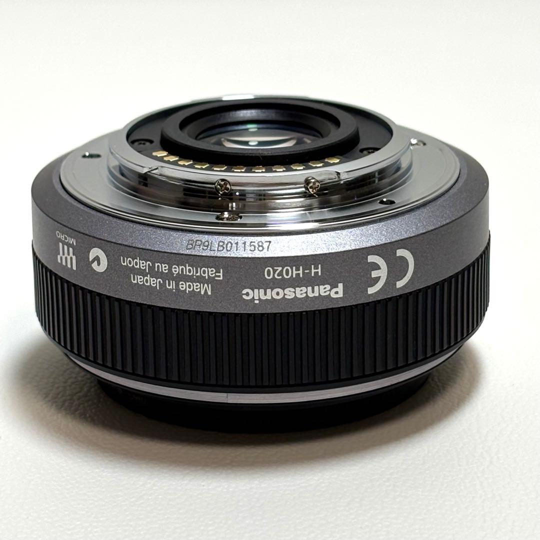 Lumix DMC-GF1 レンズキット&望遠ズームレンズ パナソニック