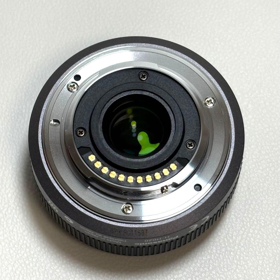 Lumix DMC-GF1 レンズキット&望遠ズームレンズ パナソニック