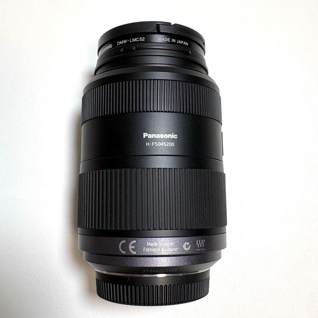 Lumix DMC-GF1 レンズキット&望遠ズームレンズ パナソニック