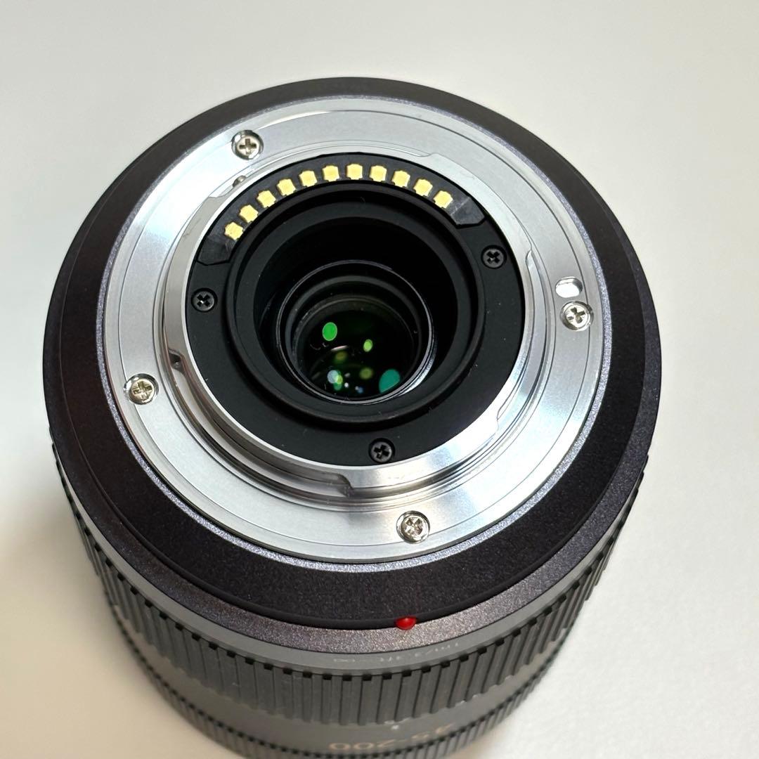 Lumix DMC-GF1 レンズキット&望遠ズームレンズ パナソニック