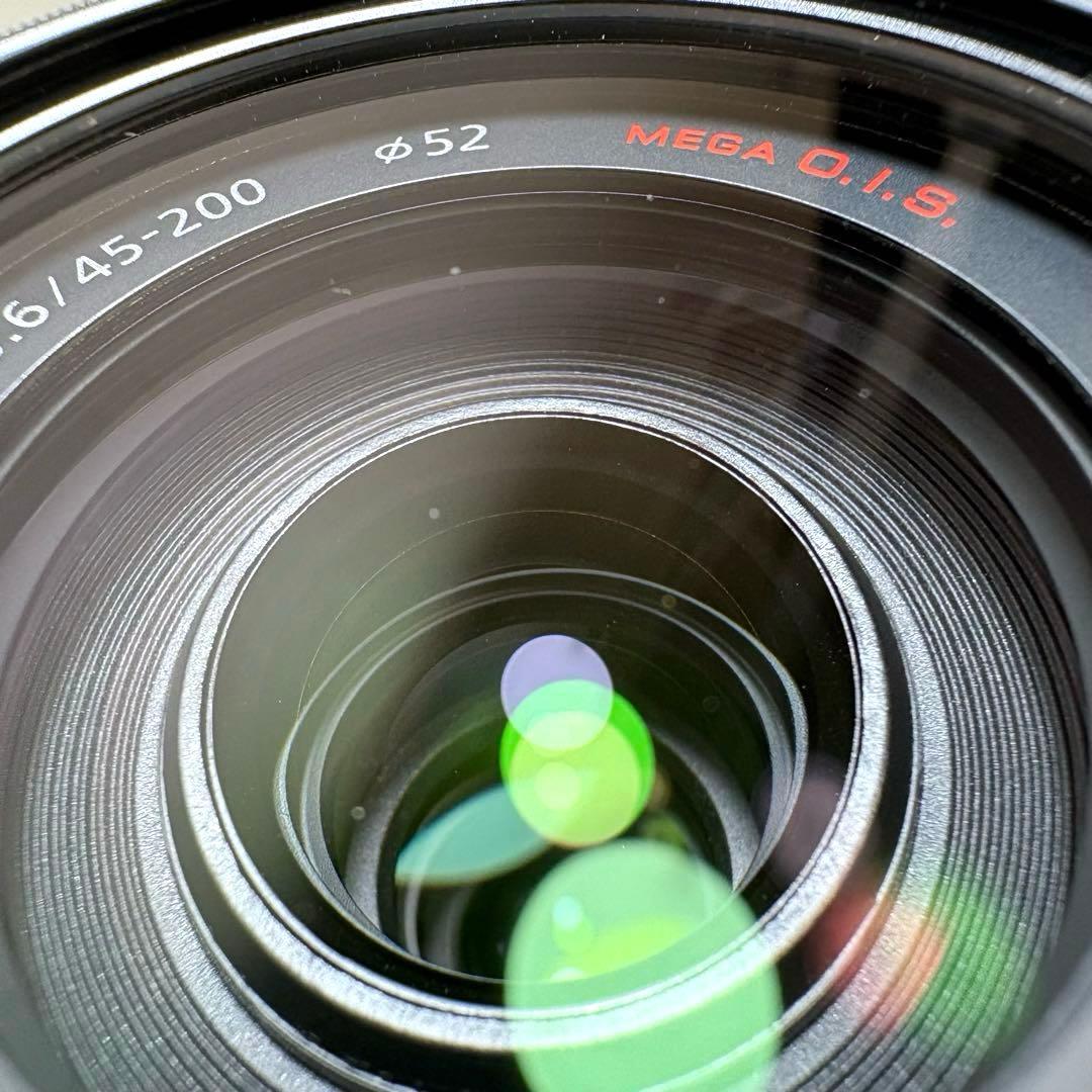 Lumix DMC-GF1 レンズキット&望遠ズームレンズ パナソニック