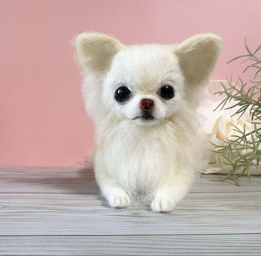 羊毛犬　羊毛フェルト　おすましチワワ