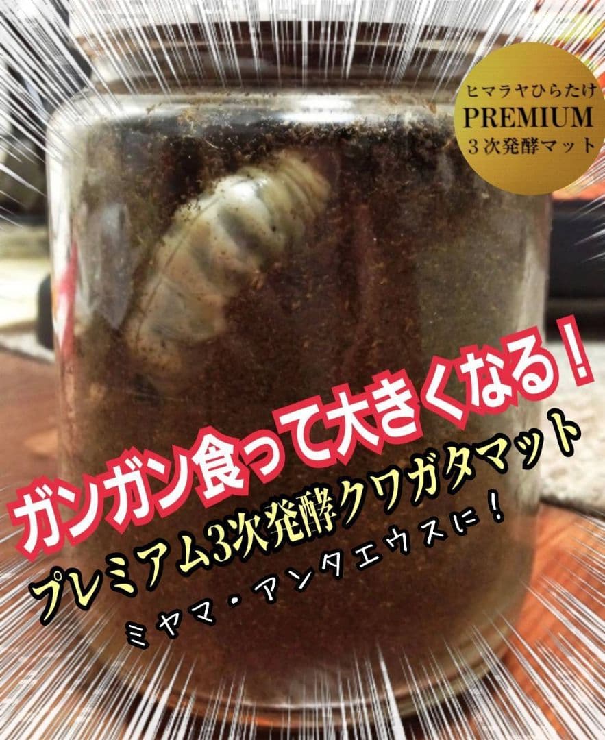 極上品！ヒマラヤひらたけプレミアム3次発酵クワガタマット【40L】栄養添加剤3倍