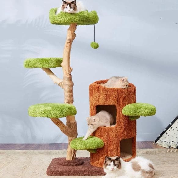【SALE新品】ベッド付き天然木無垢材キャットタワー多猫世帯据え置き型