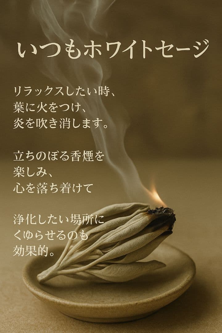 業務用価額☆無農薬ホワイトセージ無選別ミックス1KG説明書付き箱入りお香浄化