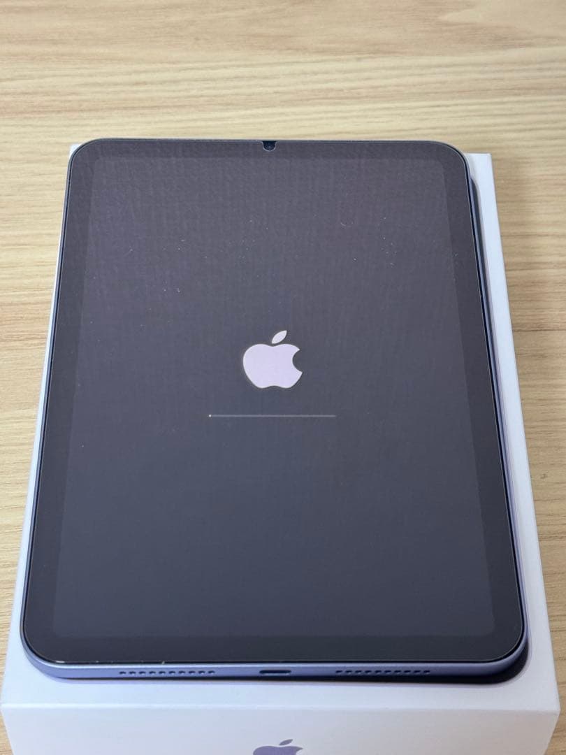 【破格】Apple iPad mini 本体 付属品 256GB