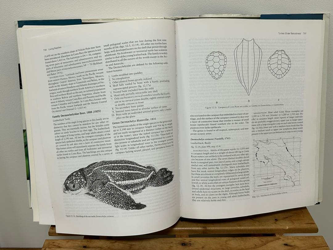 【送料無料】爬虫類 両生類 中米 コスタリカ 図鑑 洋書 専門書 価格交渉可能