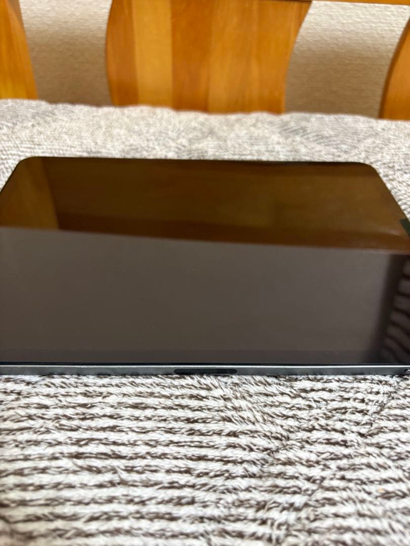 【ジャンク品】iPadpro11インチ 第1世代 WiFi 256GB 充電不可