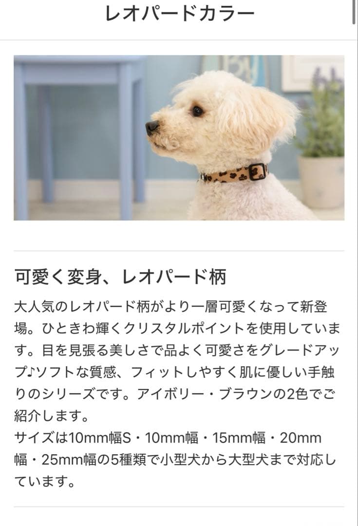 Toto&Pal リードセット