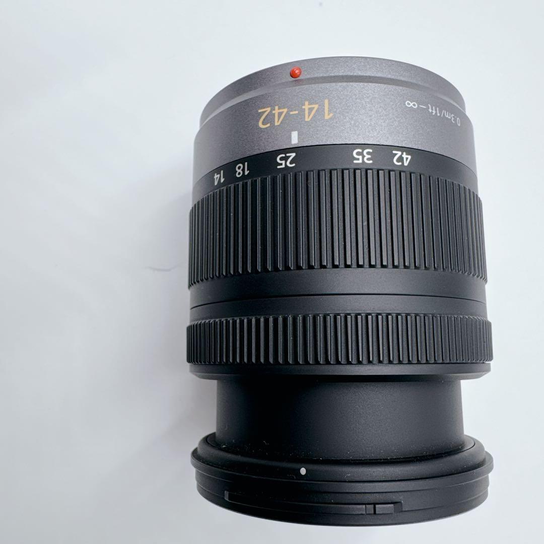 Panasonic LUMIX DMC-G2 14-42mmレンズセット