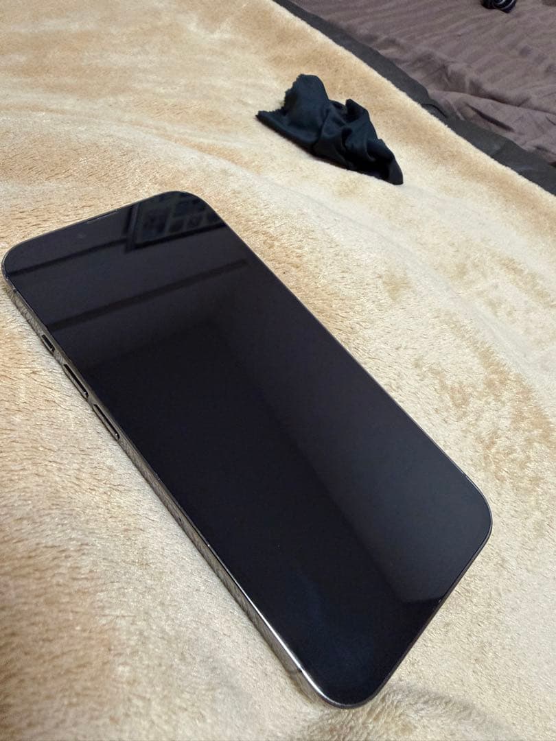 【naka様用】Apple iPhone 13 Pro グラファイト　256GB