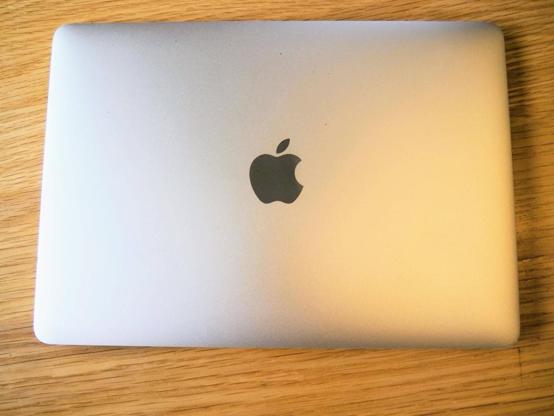 ノ*ト様 【ジャンク品】Apple MacBook 2016年モデル ゴールド