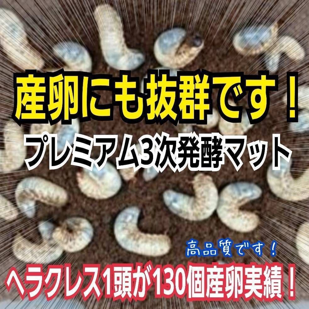 最高品質！プレミアム3次発酵カブトムシマット【240L】ギネスサイズ狙えます！