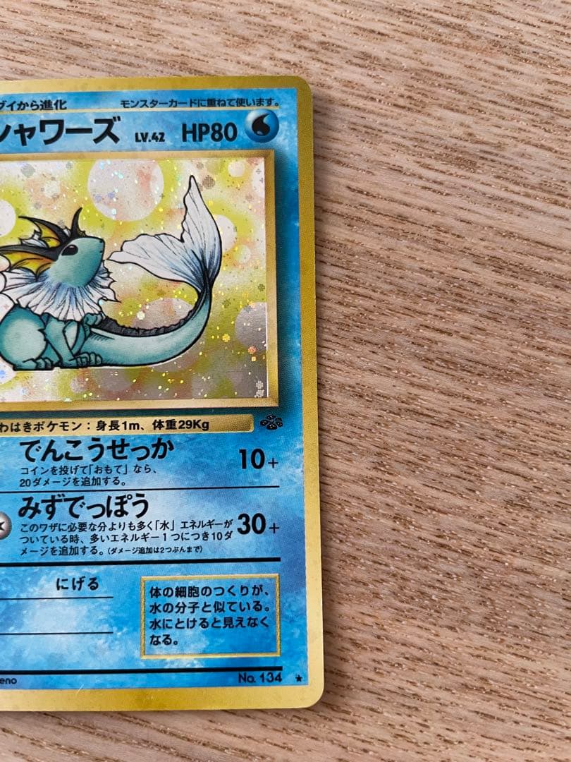 旧裏ポケカセット　サンダース シャワーズ　ブースター