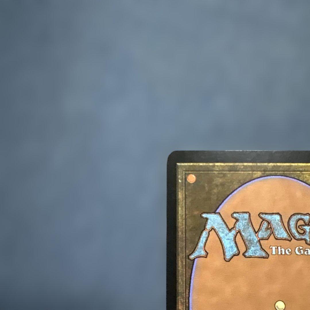 MTG 蓄積する知識　FNM景品４枚セット