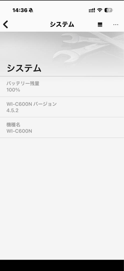 SONY WI-C600N ワイヤレスイヤホン Bluetooth 動作確認済
