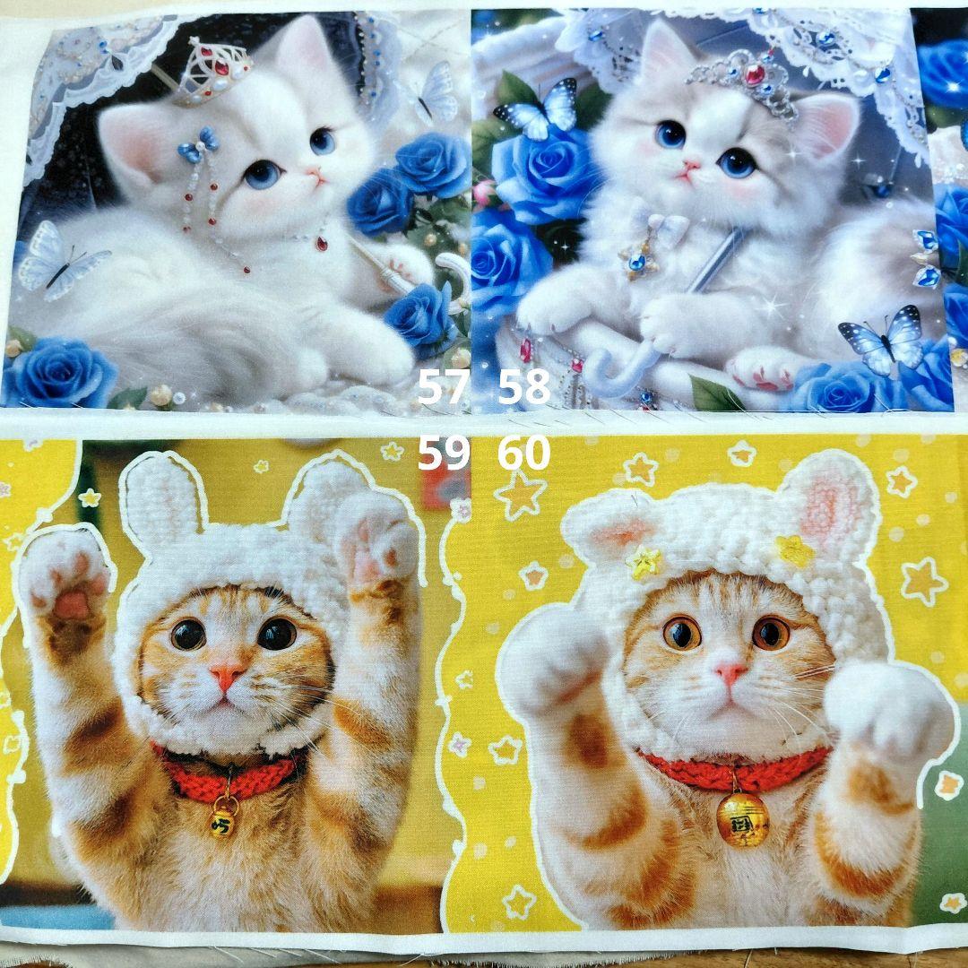 生地見本 34
