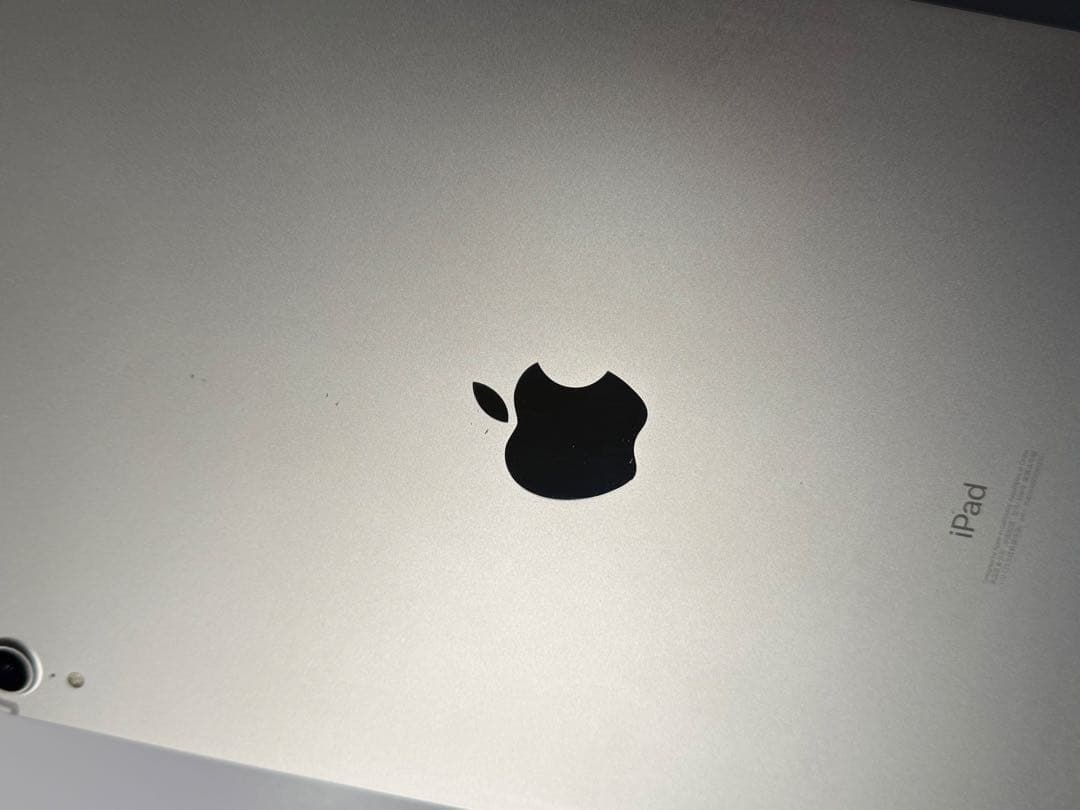 iPad Pro 11インチ 1世代 1TB / Wi-Fi Cellular