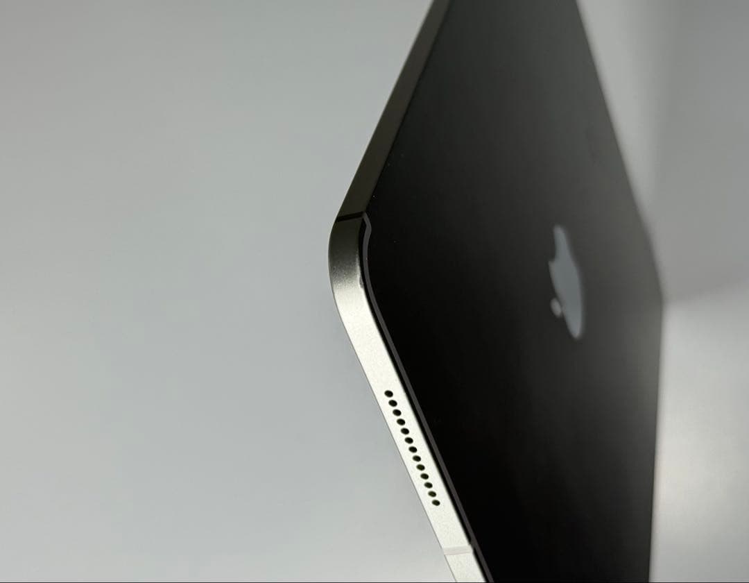 iPad Pro 11インチ 1世代 1TB / Wi-Fi Cellular