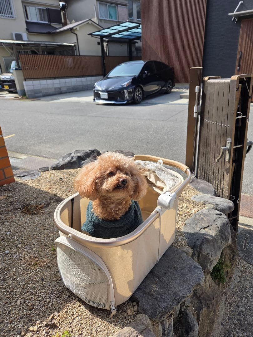 ベージュ 折りたたみ式犬用カート 4輪式