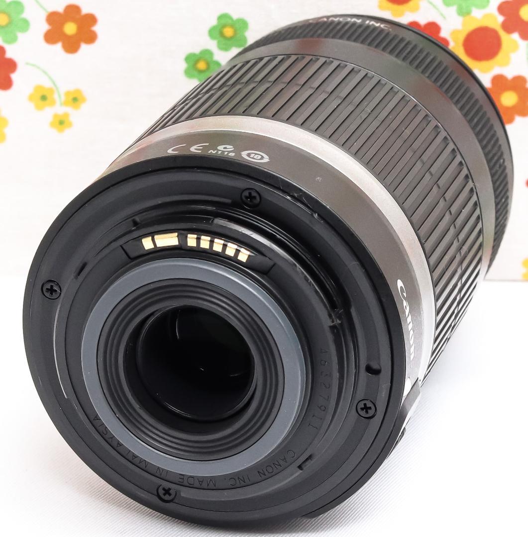 美品 キャノン Canon EF-S 55-250mm IS☆お手軽望遠レンズ♪