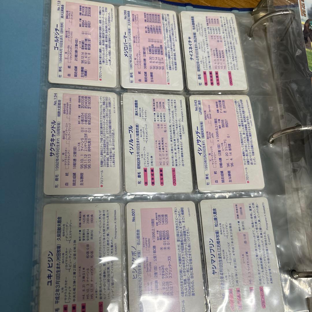 東ハト　競馬カード　ファイル　サイレンススズカ　カード　ナリタブライアン　未開封