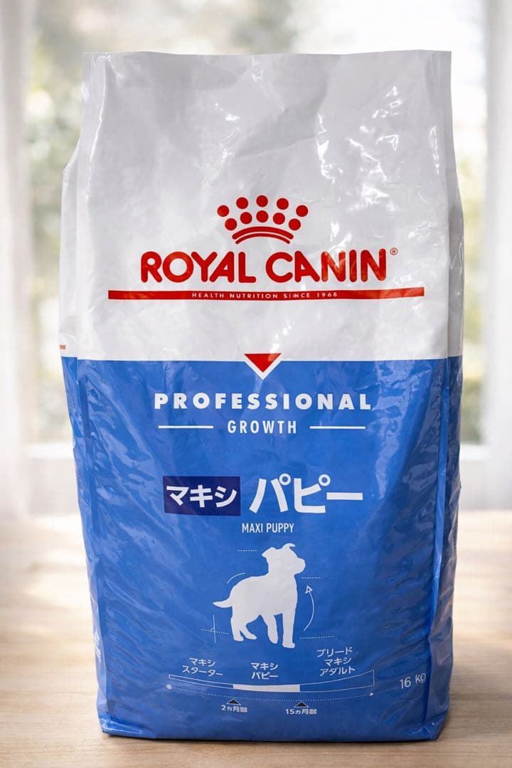光さま専用