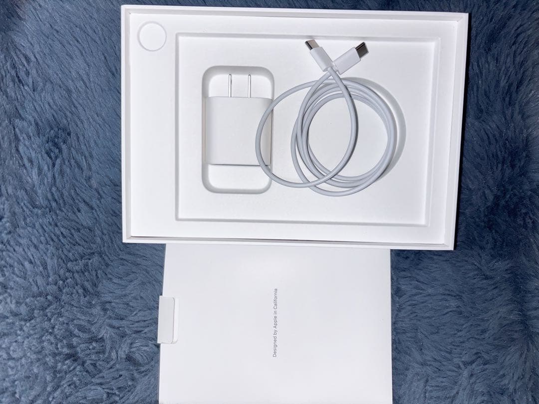 Apple iPad mini 256G (第6世代) パープル 本体